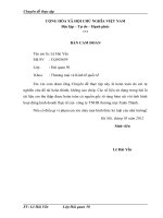 Giải pháp đẩy mạnh hoạt động nhập khẩu ô tô  tại công ty TNHH thương mại Xuân Thành