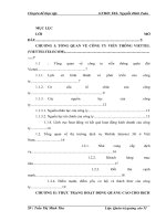 Hoàn thiện hoạt động quảng cáo cho dịch vụ Mobile Internet 3G của công ty viễn thông Viettel –Vietteltelecom