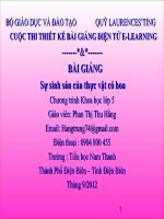 slide thuyết trình Khoa họ 5 Sự sinh sản của thực vật có hoa