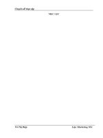 Khái quát về thị trường ngân hàng Thái Bình và hoạt động kinh doanh của VIB BANK chi nhánh Thái Bình