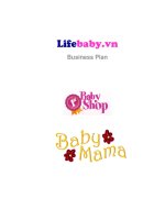Lifebaby.vn Business Plan