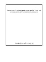 ẢNH HƯỞNG CỦA CHẤT KÍCH THÍCH SINH TRƯỞNG VÀ GIÁ THỂ ĐẾN KHẢ NĂNG RA RỄ TRONG GIÂM HOM GIỔI XANH