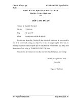 Giải pháp thúc đẩy kinh doanh nhập khẩu nguyên liệu phục vụ sản xuất linh kiện điện thoại di động tại công ty TNHH Elentec Việt Nam