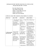 6 2014 kế HOẠCH CHỦ đề