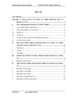 Một số giải pháp nhằm hoàn thiện hệ thống kênh phân phối  sản phẩm tại  công ty TNHH thương mại và dịch vụ CNN