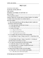 Phân tích tình hình tài chính tại công ty TNHH Xây dựng và thương mại Sơn Tùng