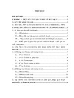 Đánh giá hiệu quả hoạt động sản xuất kinh doanh tại công ty cổ phần đầu tư và phát triển đô thị Việt Hưng