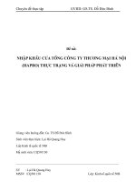 Nhập khẩu của tổng công ty thương mại Hà Nội. Thực trang và giải pháp phát triển