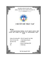 Đẩy mạnh hoạt động  xuất  khẩu  hàng  thủ  công  mỹ  nghệ  tại  công  ty  Artexport  Việt  Nam