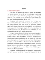 Hoàn thiện chiến lược kinh doanh Công ty cổ phần than Núi Béo-TKV giai đoạn 2010-2020