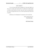 Hoàn thiện kế toán bán hàng và xác định kết quả bán hàng  tại Công ty TNHH Du Lịch và Thương Mại Sông Hồng