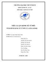 Tiểu luận kinh tê vĩ mô, tình hình nền kinh tế vĩ mô của Singapore