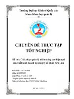 Giải pháp quản lý nhằm nâng cao hiệu quả sản xuất kinh doanh tại công ty cổ phần Sơn Lâm