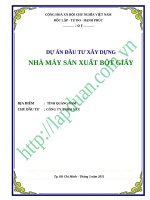 DỰ ÁN ĐẦU TƯ XÂY DỰNG NHÀ MÁY SẢN XUẤT BỘT GIẤY