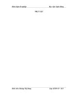 Hoàn thiện công tác kế toán chi phí sản xuất và tính giá thành sản phẩm tại công ty cổ phần nông sản Thanh Hoa