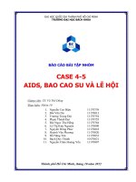 Tiểu luận môn kinh doanh quốc tế Chủ đề AIDS, BAO CAO SU VÀ LỄ HỘI