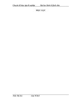 Giải pháp tài chính nhằm nâng cao hiệu quả sử dụng vốn kinh doanh tại Công ty cổ phần Thương Mại và Đầu tư Meco