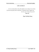 Giải pháp phát triển hoạt động kinh doanh ngoại hối tại ngân hàng Việt Nam Thịnh Vượng chi nhánh Đông Đô