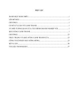 Một số giải pháp tài chính nhằm nâng cao khả năng cạnh tranh của Công ty cổ phần may Sông Hồng