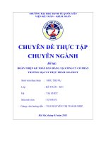 Hoàn thiện kế toán bán hàng tại Công ty cổ phần thương mại và thực phẩm Gia Phát