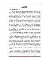 Phân khúc thị trường khách hàng cá nhân đối với sữa bột Việt Nam