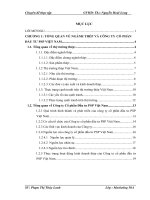 Giải pháp marketing nhằm nâng cao doanh số bán sản phẩm thép xây dựng Shengli của công ty cổ phần đầu tư PSP Việt Nam