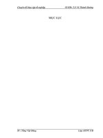 Xây dựng chiến lược tiêu thụ sản phẩm ở Công ty cổ phần thương mại,sản xuất và dịch vụ Sao Nam