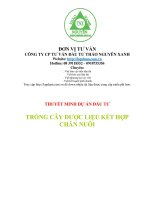 ĐẦU TƯ TRỒNG CÂY DƯỢC LIỆU KẾT HỢP CHĂN NUÔI