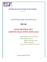 chuyên đề kiểm tra đánh giá Soạn đề kiểm tra chương đại cương kim loại