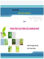 TIỂU LUẬN PHẢN ỨNG CỦA VÒNG XICLOANKAN NHỎ