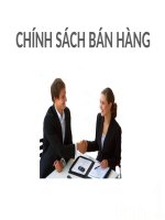 Tiểu luận chuyên đề Chính sách bán hàng