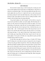 Chuyên đề thực tập: Hoàn thiện kế toán nguyên vật liệu tại Công ty Cổ phần CNTT Hoàng Anh 03