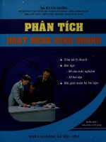 Phân tích hoạt động kinh doanh - Tóm tắt lý thuyết - bài tập (80 câu trắc nghiệm, 30 bài giải)
