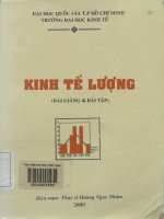 Kinh tế lượng - Bài giảng và bài tập