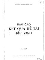báo cáo kết quả đề tài : Đậu xanh