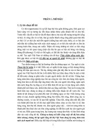 Đề tài Cơ hội tiếp cận và thụ hưởng giáo dục tiểu học của cộng đồng dân tộc thiểu số tỉnh Lâm Đồng