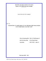 ẢNH HƯỞNG CỦA BIẾN ĐỘNG TỶ GIÁ HỐI ĐOÁI ĐẾN HOẠT ĐỘNG XUẤT NHẬP KHẨU TẠI VIỆT NAM