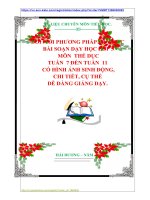 ĐỔI MỚI PHƯƠNG PHÁP DẠY HỌC  BÀI SOẠN DẠY HỌC LỚP 5  MÔN  THỂ DỤC  TUẦN  7 ĐẾN TUẦN  11   CÓ HÌNH ẢNH SINH ĐỘNG,  CHI TIẾT, CỤ THỂ  DỄ DÀNG GIẢNG DẠY