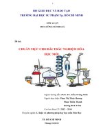 TIỂU LUẬN CHUẨN MỰC CHO BÀI TRẮC NGHIỆM HÓA HỌC MỚI