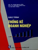 Giáo trình Thống kê doanh nghiệp