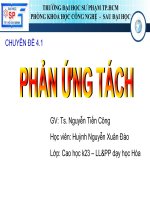 tiểu luận phản ứng tách