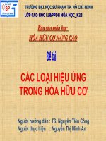 Báo cáo môn học HÓA HỮU CƠ NÂNG CAO - các loại hiệu ứng trong hóa hữu cơ