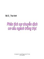 slide thuyết trình Thực hành phân tích sự chuyển dịch cơ cấu ngành trồng trọt