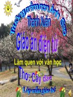 slide thuyết trình Làm quen văn học thơ cây đào