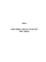 Đề tài Công tác đào tạo, bồi dưỡng và sử dụng cán bộ người dân tộc thiểu số trên địa bàn huyện Phú Thiện  tỉnh Gia Lai (từ năm 2007 đến 2009)