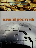 Kinh tế học vi mô (Lý thuyết, bài tập và bài giải)