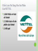 Chiến Lược Đa Dạng Hóa Sản Phẩm CủaVIETTEL