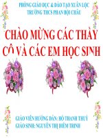 Giáo án thao giảng sinh học 9 Tiết 53 Tác động của con người đối với môi trường (1)