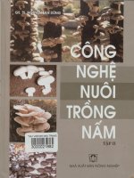 Công nghệ nuôi trồng nấm. Tập 2
