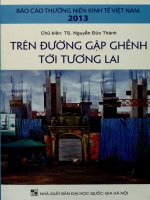 Báo cáo thường niên kinh tế Việt Nam 2013 - Trên con đường gập ghềnh tới tương lai